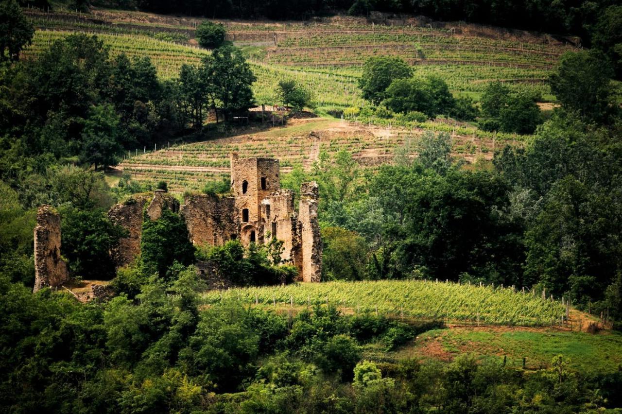 Villa Gelso Vesime Kültér fotó
