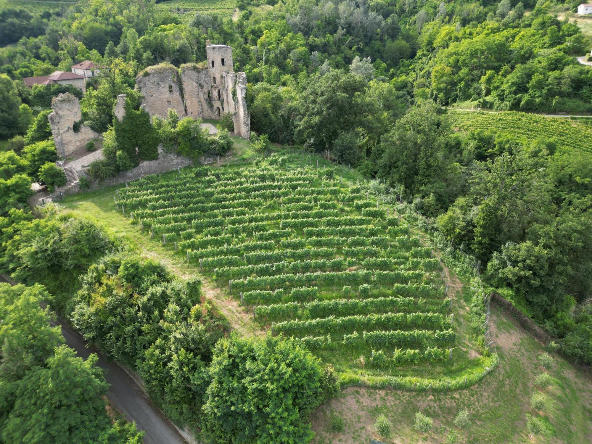 Villa Gelso Vesime Kültér fotó